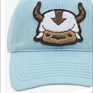 Appa Hat Avatar the last Airbender